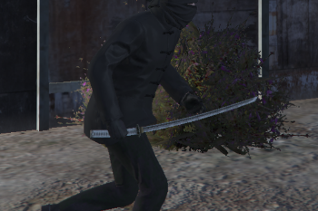 21755a i22222mage