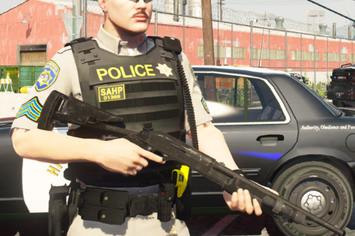 Reskin for Evandrotorquato's Benelli Super 90